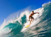 比赛局势复杂引发热议！，Faker在掘金比赛中夺冠赛场气氛高涨